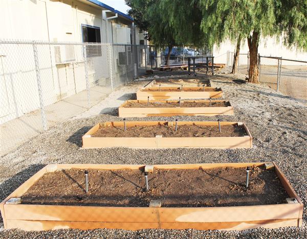 Photo of four garden beds at Glenmeade Elementary School